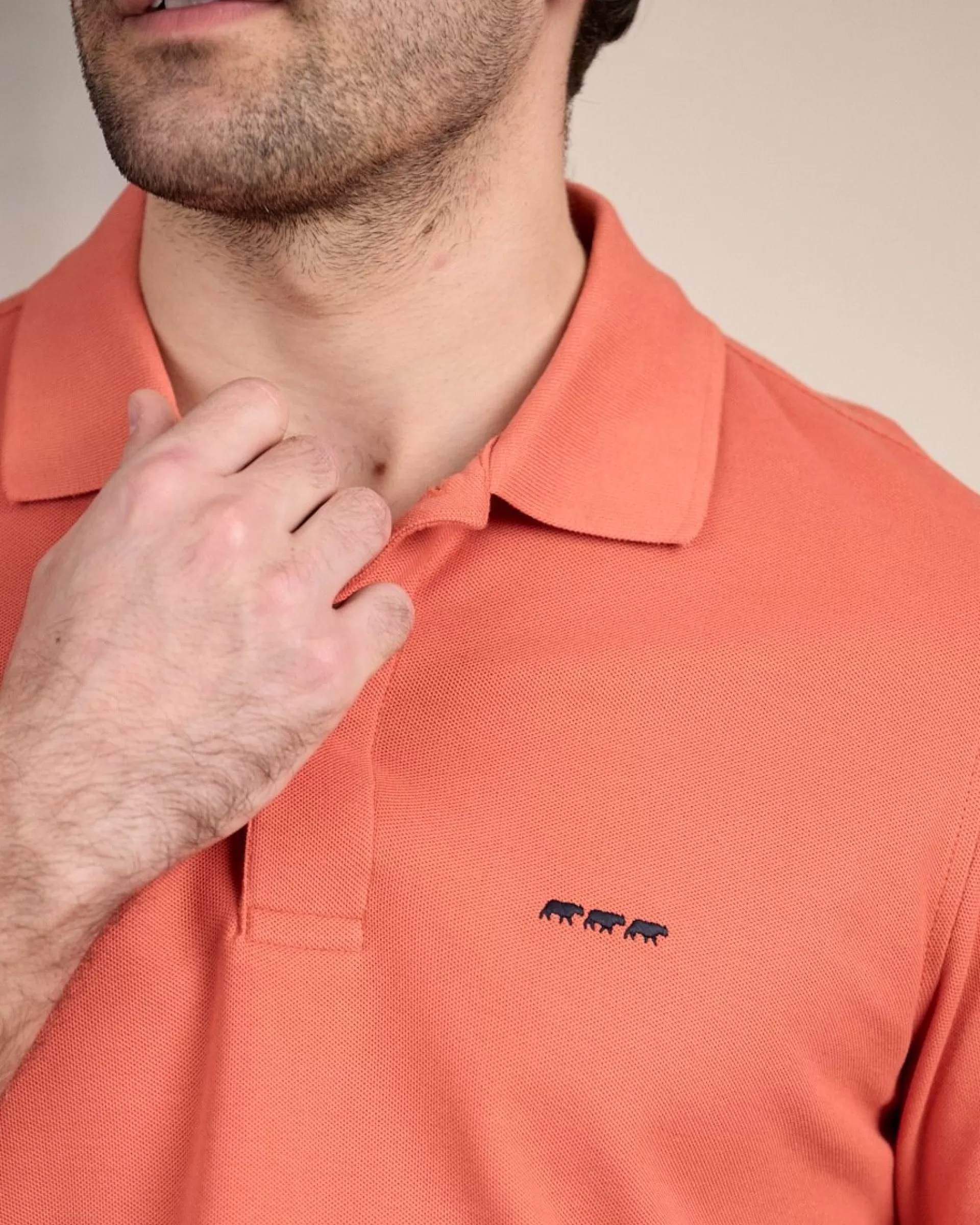 Discount Polo Collin terraccotta clair Homme Polo