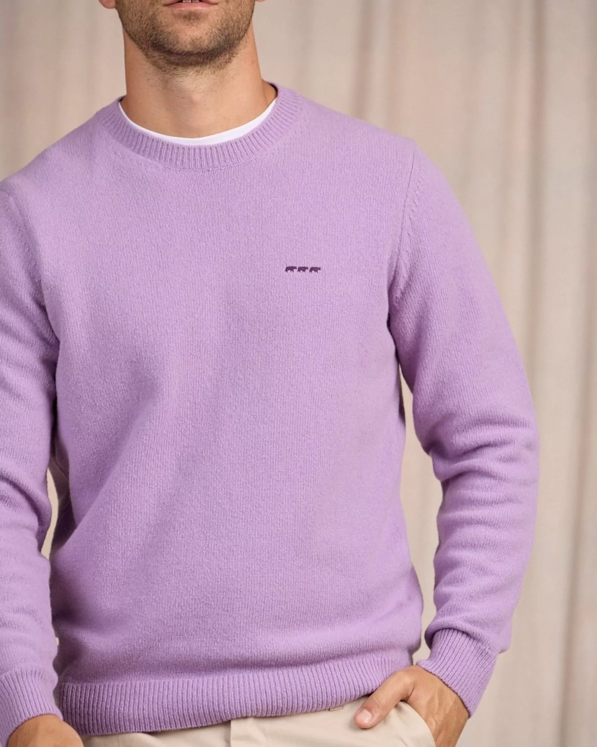 pull_cassis_parme_5-1.webp Outlet Pull Cassis Homme Pull