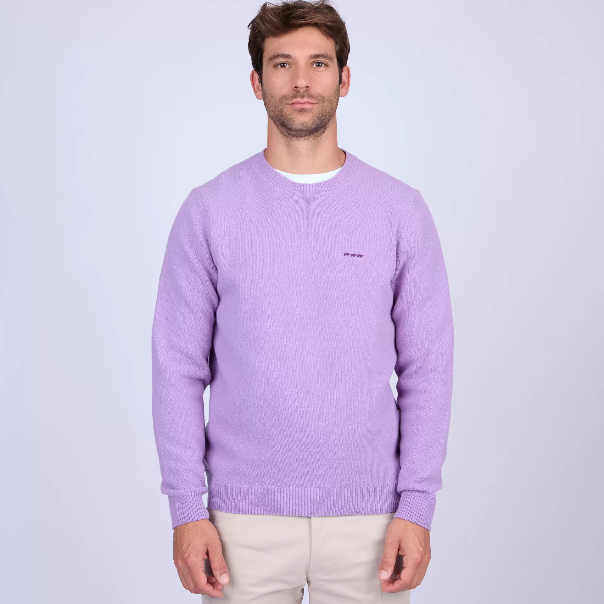 pull_cassis_parme_6-1.webp Outlet Pull Cassis Homme Pull