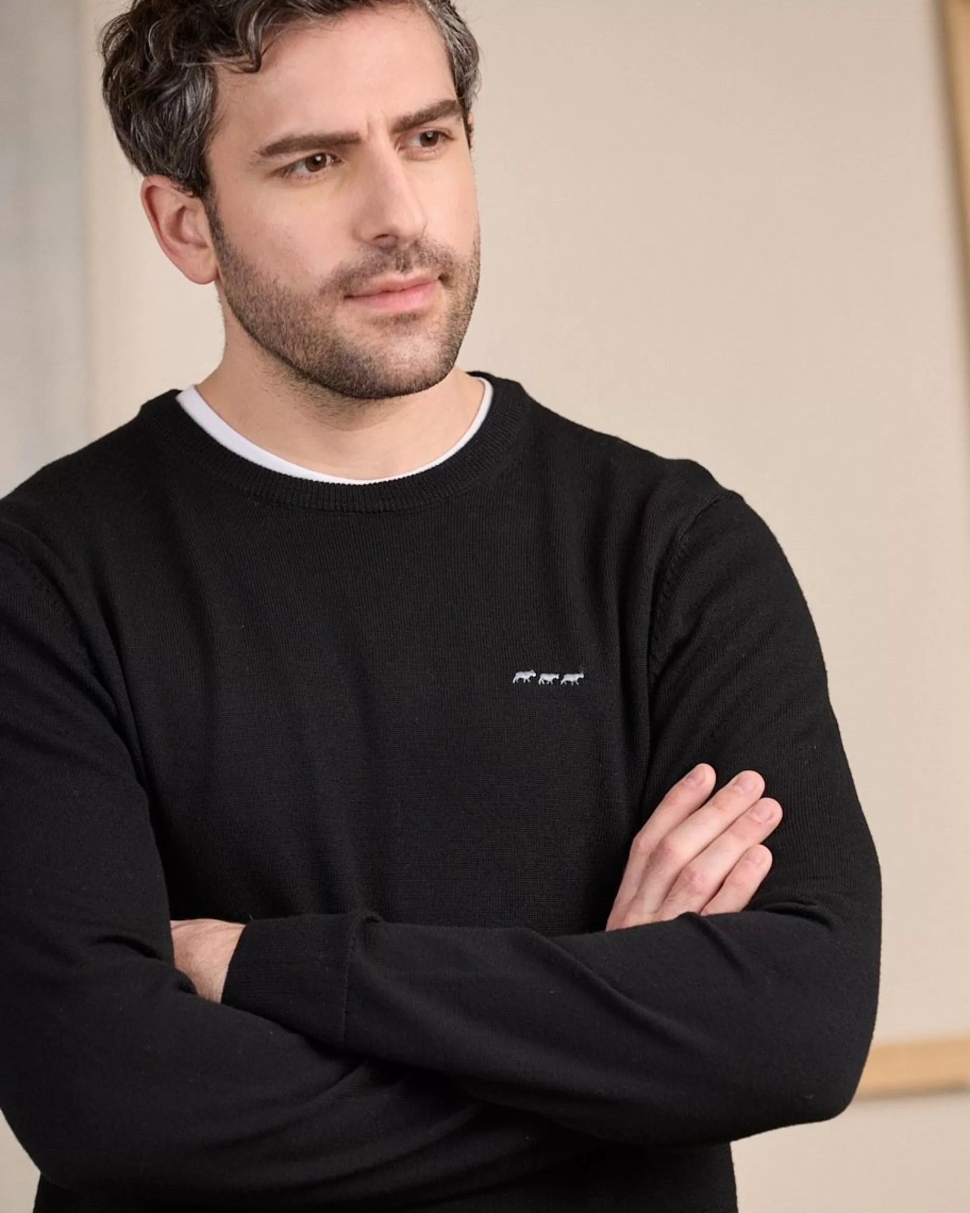 Best Sale Pull col rond Homme Pull